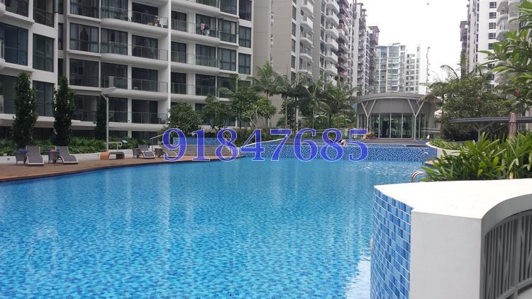 Riversound Residence (D19), Condominium #90581332